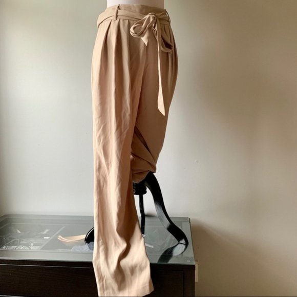 Ellen Tracy Beige Pants - Picture 8 of 8